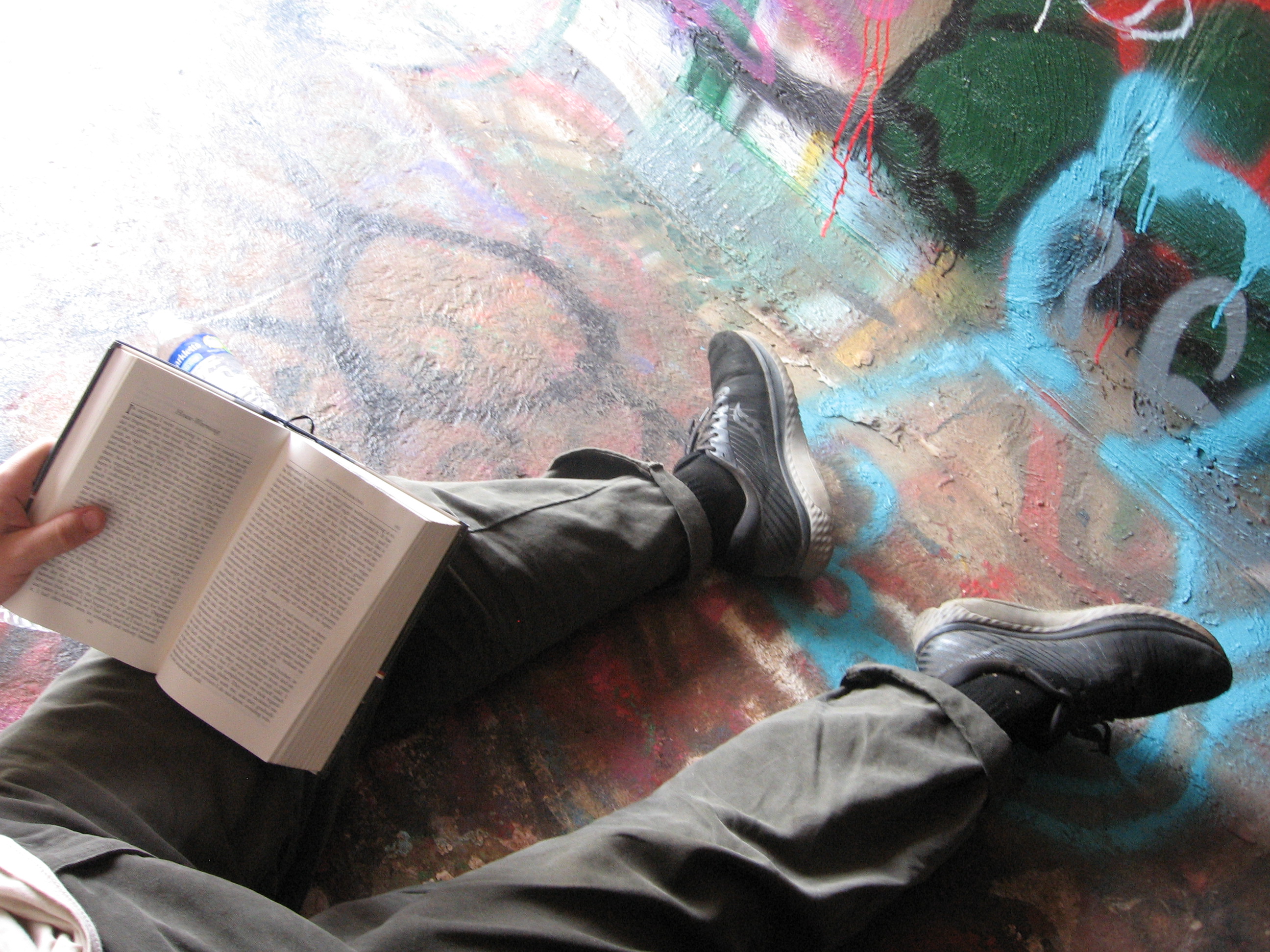 I read all of Thoreau's Walden while spending an entire day in the woods - Second image